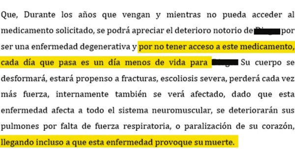 Recurso de protección Recurso de protección interpuesto por Paula Silva en contra de Fonasa y del Hospital El Carmen, el 23 de noviembre de 2019. (Foto proporcionada por la Corte de Apelaciones).